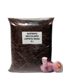 Sustrato Inoculante Lepista Nuda | Cosecha Abundante