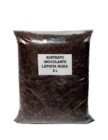 Sustre Inoculant Lepista Nuda - Culture Facile et Abondante 2