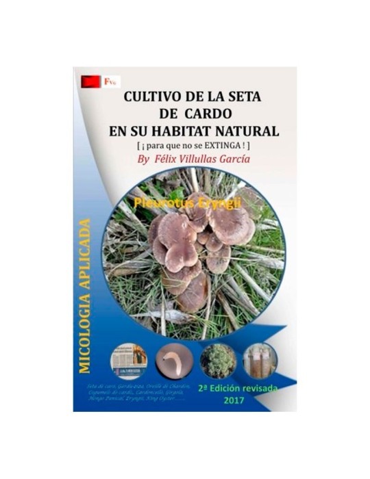 Cultivo Ecológico de Setas de Cardo | Guía Detallada