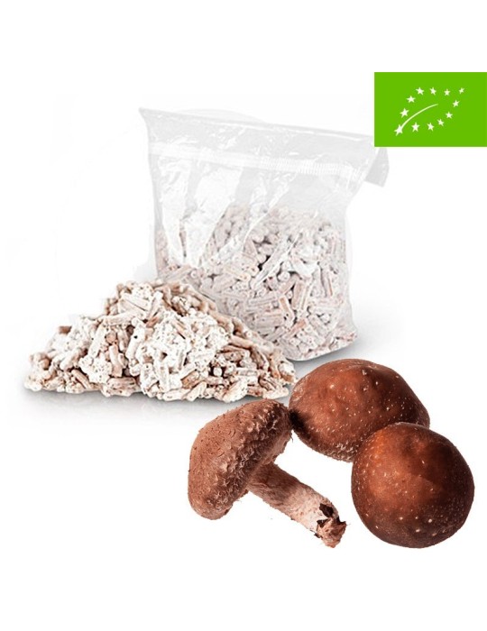 Micelio ECO Pellets Shiitake Donko - Calidad Superior Micelio ECO Pellets Shiitake Donko - Calidad Superior