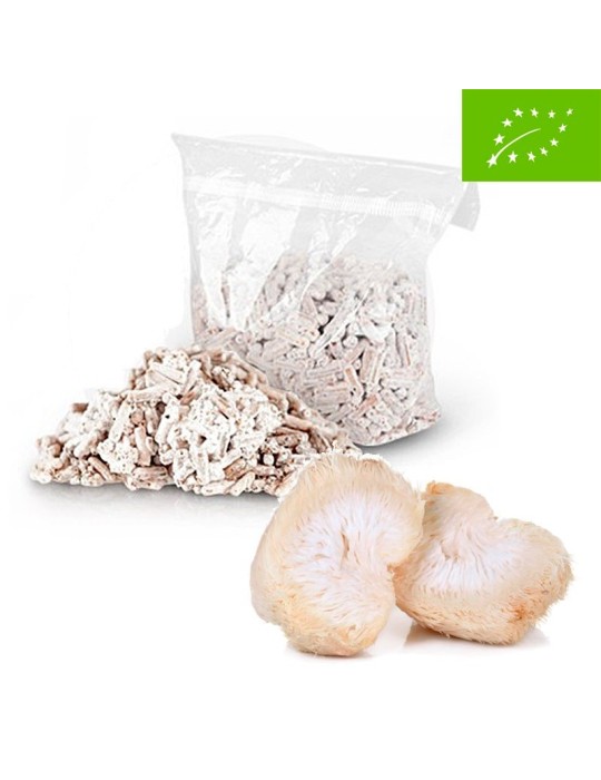 Micelien-Pellets ECO - Nachhaltige Pilzzucht für... Micelien-Pellets ECO - Nachhaltige Pilzzucht für...