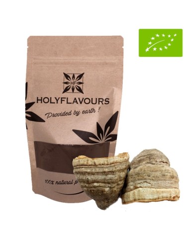 Polvere Fungo Tintorio Biologico Fomes Fomentarius