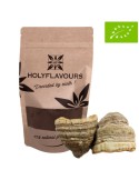 Poudre de Champignon d'Amadou Bio - Fomes fomentarius