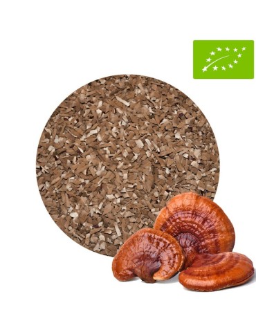 Reishi Troceado 4-6 mm BIO | Ganoderma Lucidum Superalimento 2