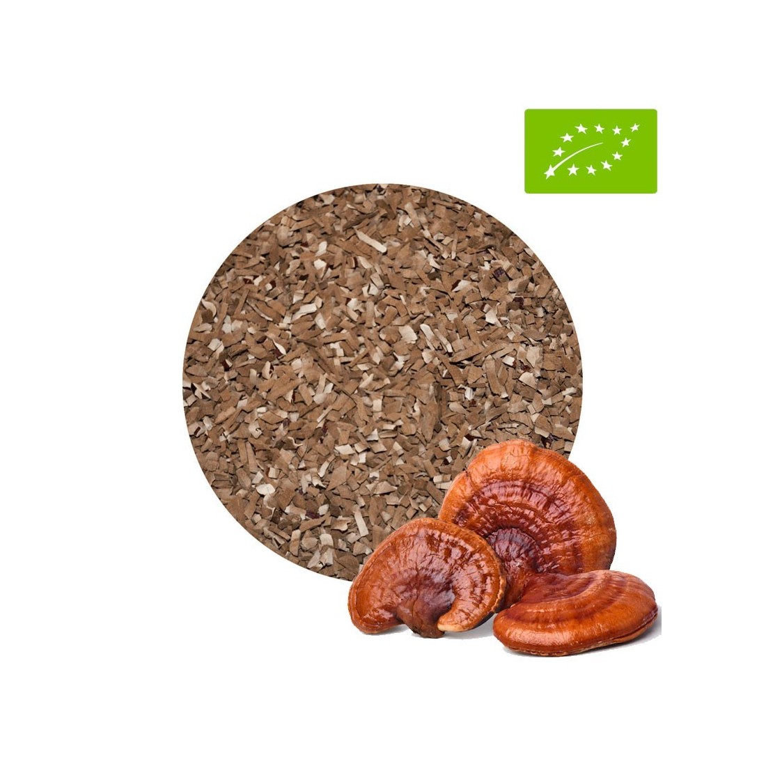 Shiitake en poudre BIO - Superaliment pour le bien-être