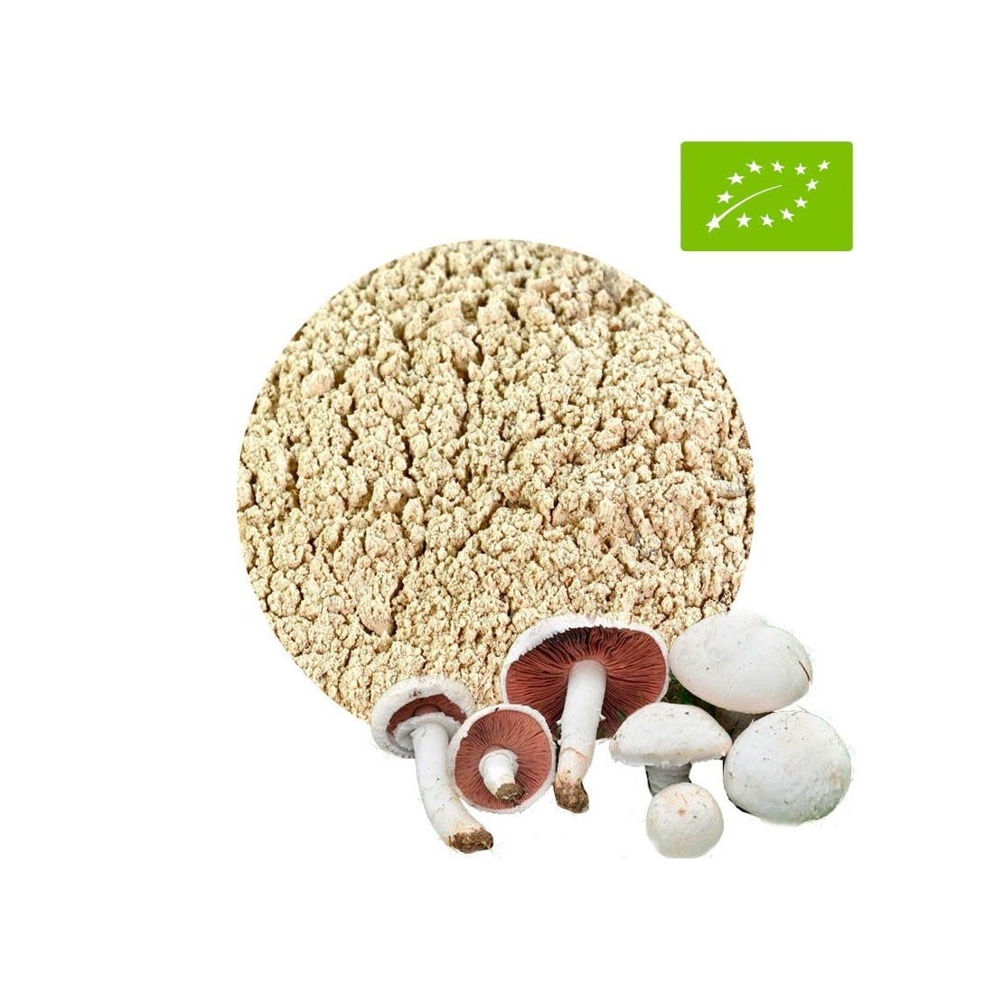 Agaricus Campestris Pó BIO - Fonte de Energia Natural