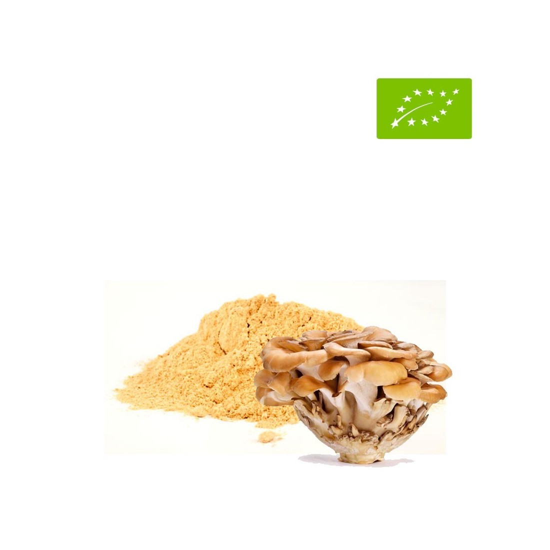 Pó Maitake Biológico Grifola Frondosa