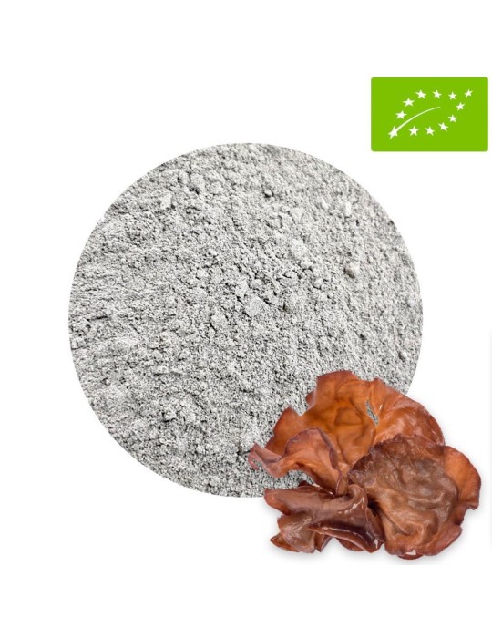 Judas Ear Mushroom Powder Organic | Natural Superfood