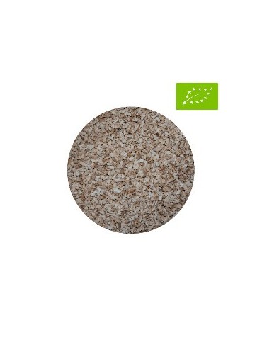 Melena de León BIO 4-6 mm, Superalimento Neuroprotector 2