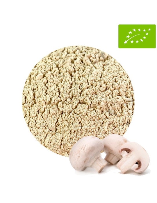 Champignon de Paris BIO en poudre - Complément naturel
