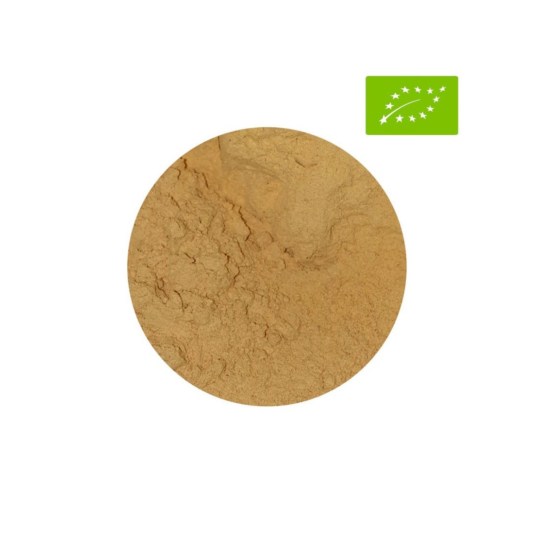Bio-Cordyceps-Pulver - Natürliche Energie & Vitalität