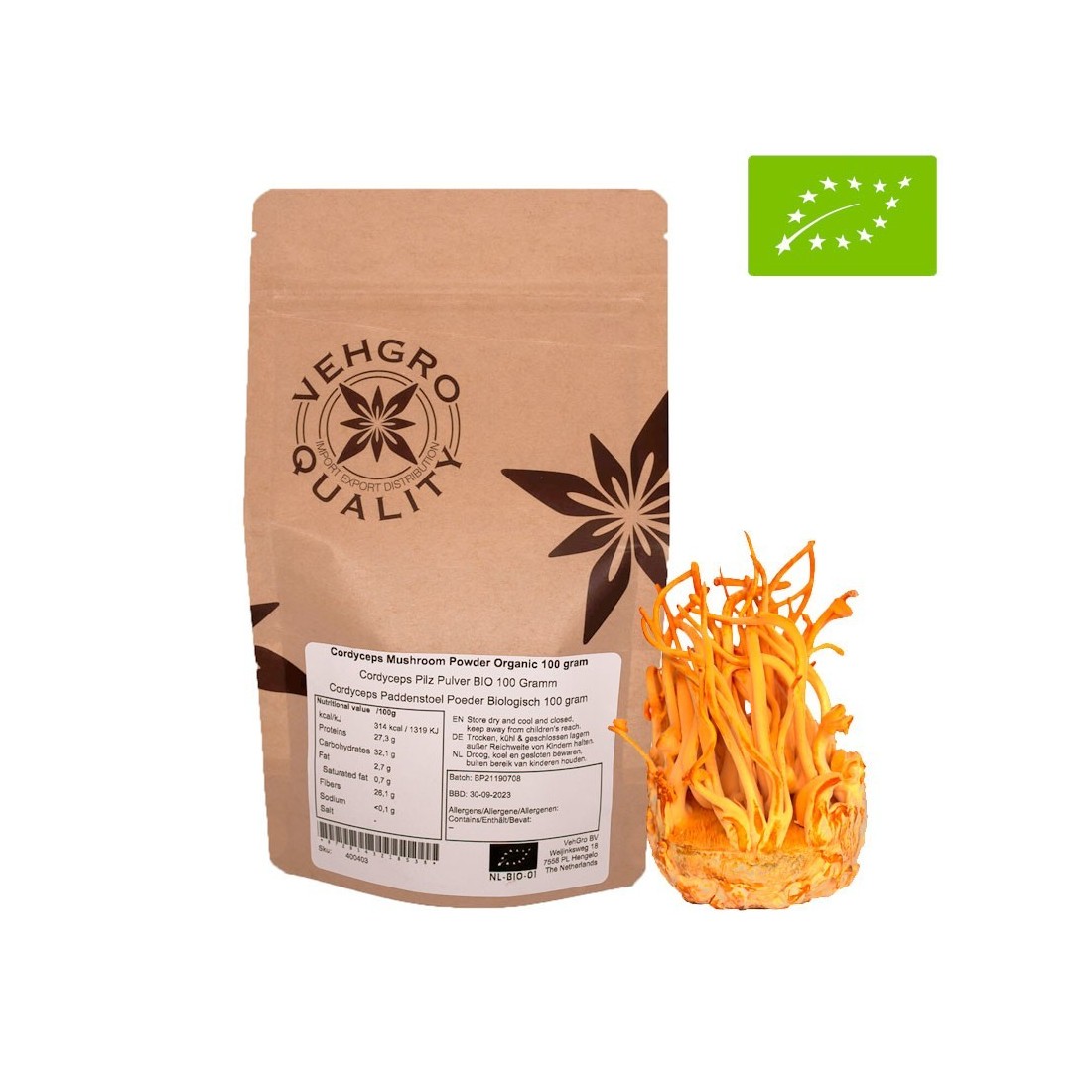 Bio-Cordyceps-Pulver - Natürliche Energie & Vitalität