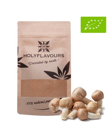 Polvere Funghi Solari Biologici Agaricus Blazei