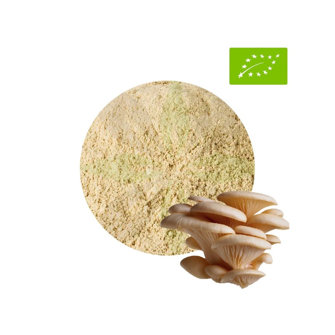Fungo Ostrica Biologico in Polvere - SuperAlimento Salute