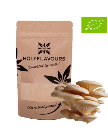 Fungo Ostrica Biologico in Polvere - SuperAlimento Salute