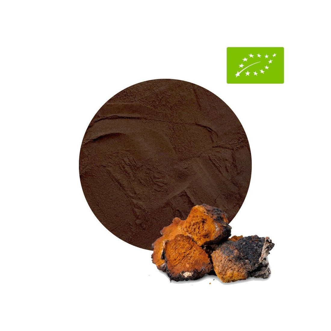 Shiitake en polvo BIO 30% - Superfood para tu salud