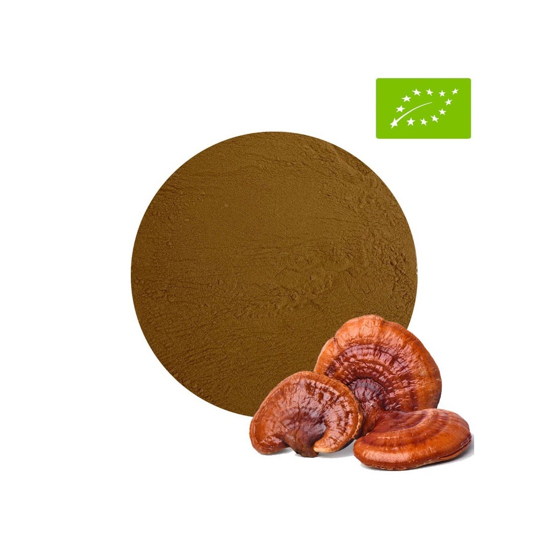 Shiitake Pulver BIO – 30% Konzentrat für Gesundheit &...