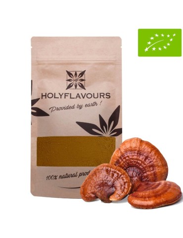 Shiitake Pulver BIO – 30% Konzentrat für Gesundheit &...