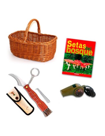 Pack de démarrage