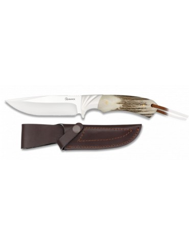 Couteau de Chasse Albainox Ciervo 11,8cm Ergonomique