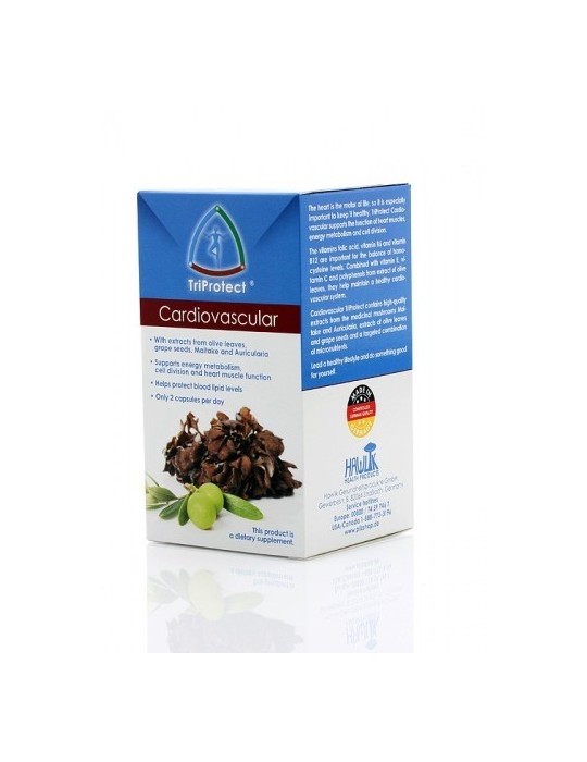 Cardiovascular - “Cardiovascular” Cardiovascular - “Cardiovascular”