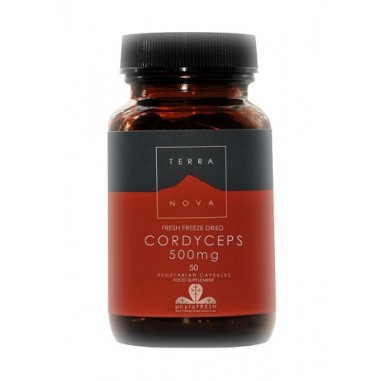 Cordyceps 500 mg (Cordyceps sinensis)