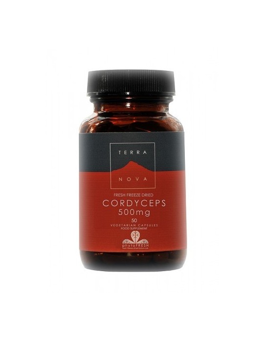 Cordyceps 500 mg (Cordyceps sinensis) Cordyceps 500 mg (Cordyceps sinensis)
