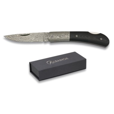 Albainox damascus knife.