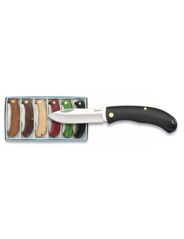 Set 6 Coltelli Albainox in Scatola - Lama 6,5cm Acciaio...