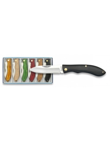 Ensemble de 6 Canifs Albainox Lame 6.2cm