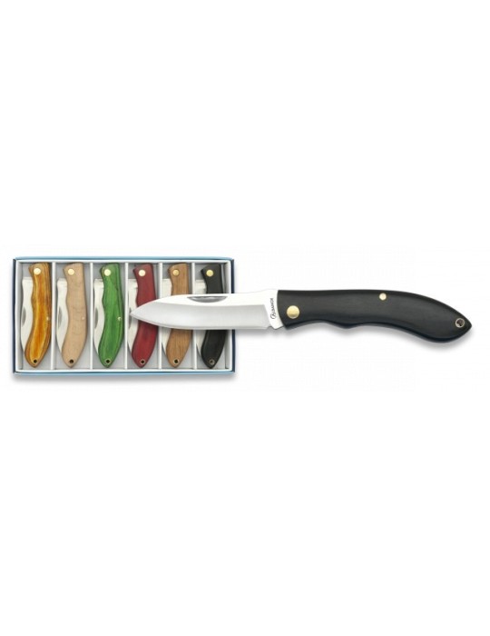 Set di 6 Coltelli Albainox Lama 6,2 cm