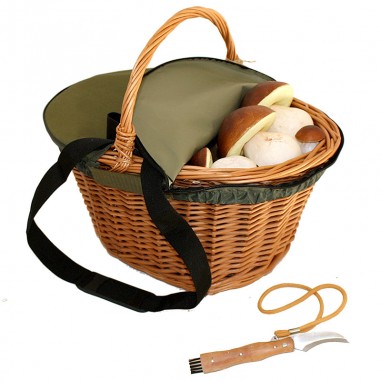 Pack medium basket - green lid -...