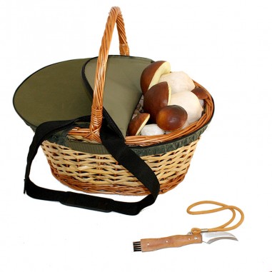 Pack medium basket - green lid -...