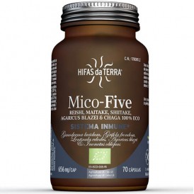 Mico Five con Chaga