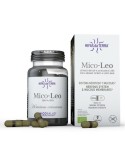 Mico Leo Crinière de Lion HDT 70 Capsules