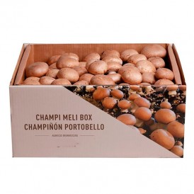 Champignon Portobello kit 7 kg