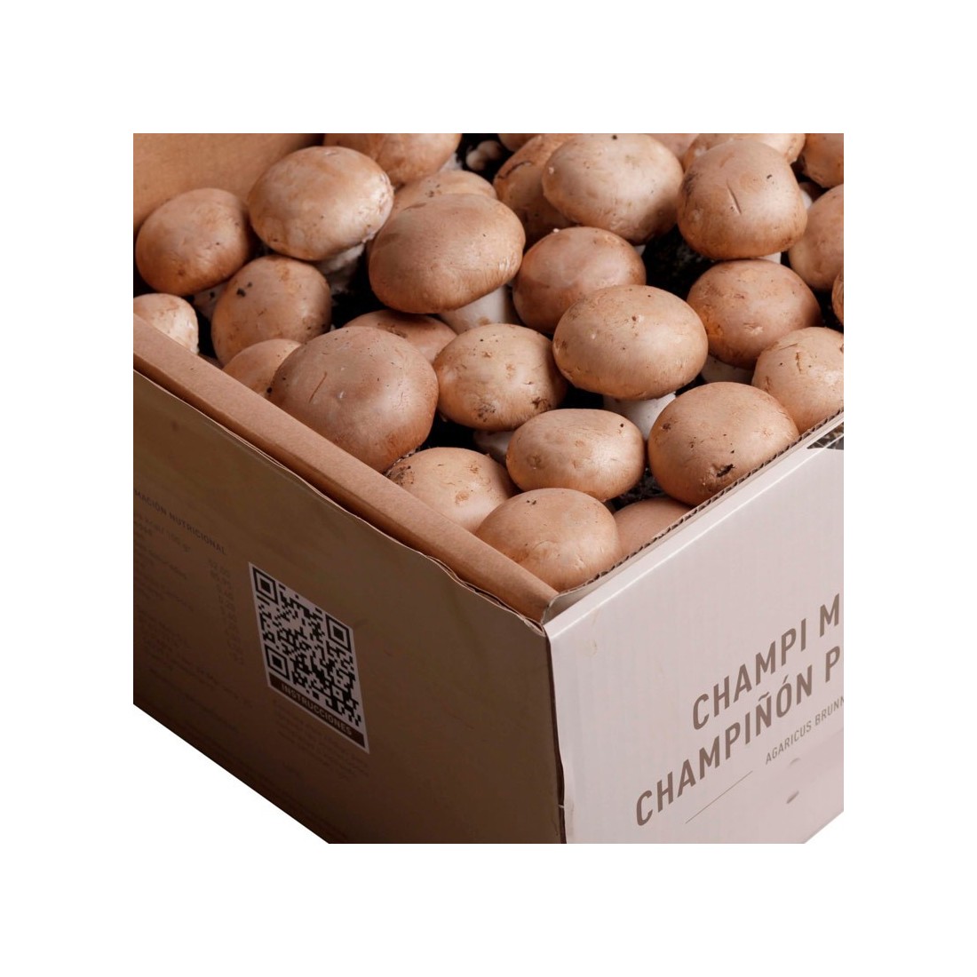 Portobello Mushroom Kit 7kg | Fresh Home Harvest