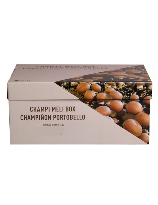 Portobello Pilzset 7kg | Frische Ernte Zuhause