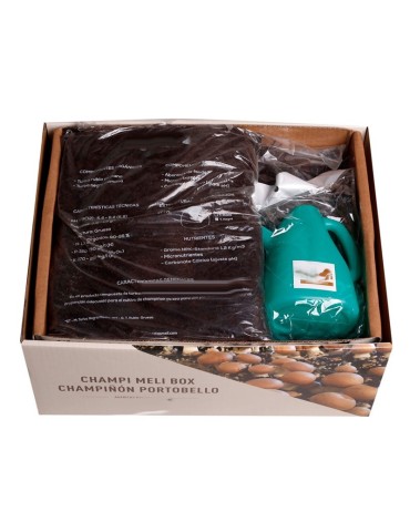 Portobello Pilzset 7kg | Frische Ernte Zuhause 2