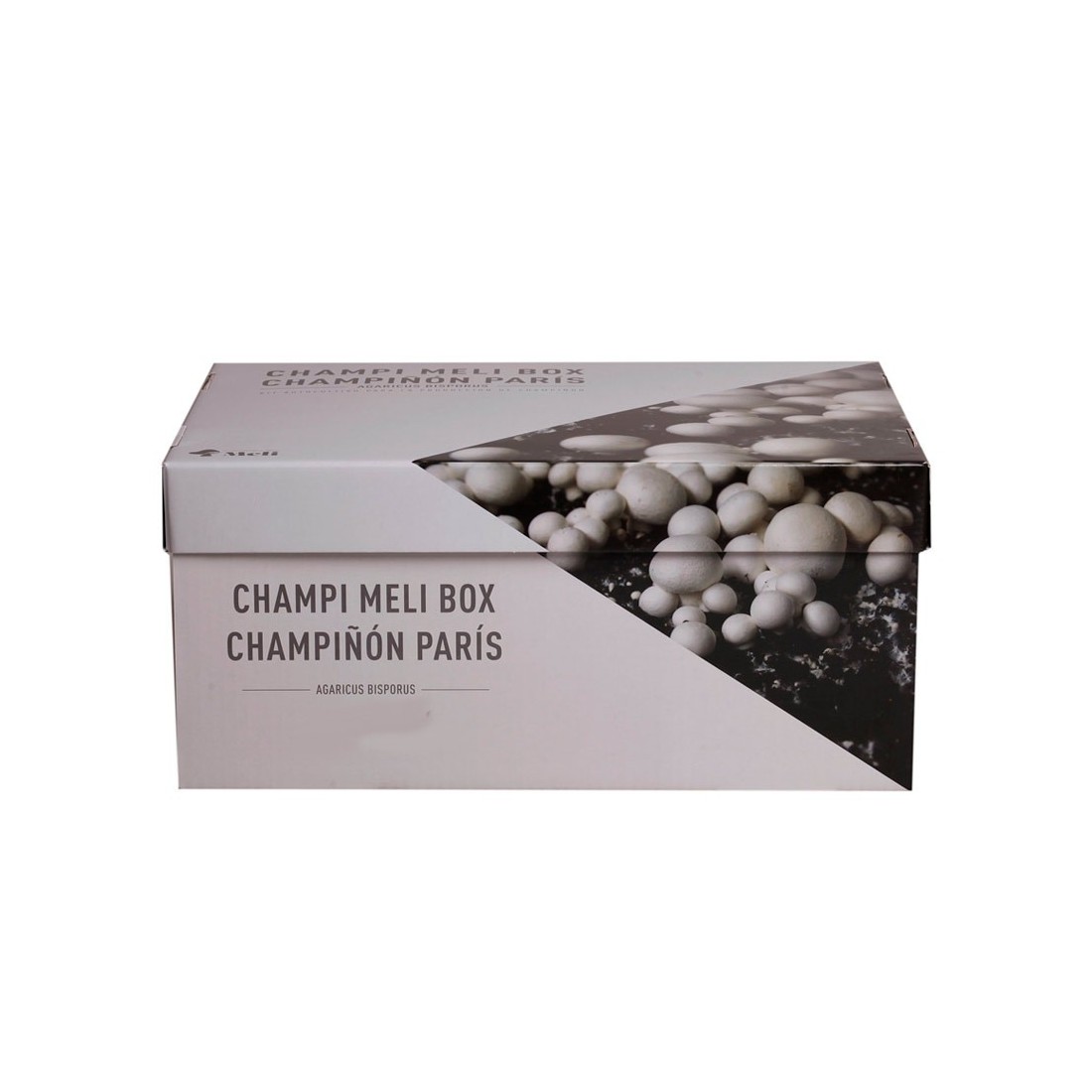 Kit Champignons de Paris 7kg - Culture Maison