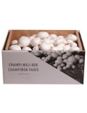 Paris Mushroom Kit 7kg - Grow Fresh Mushrooms at Home