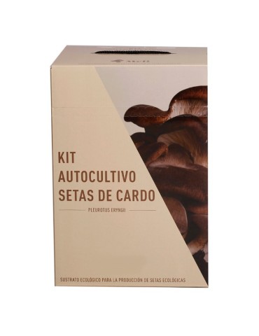 Cultive Cogumelos Cardo em Casa - Mico Kit 2
