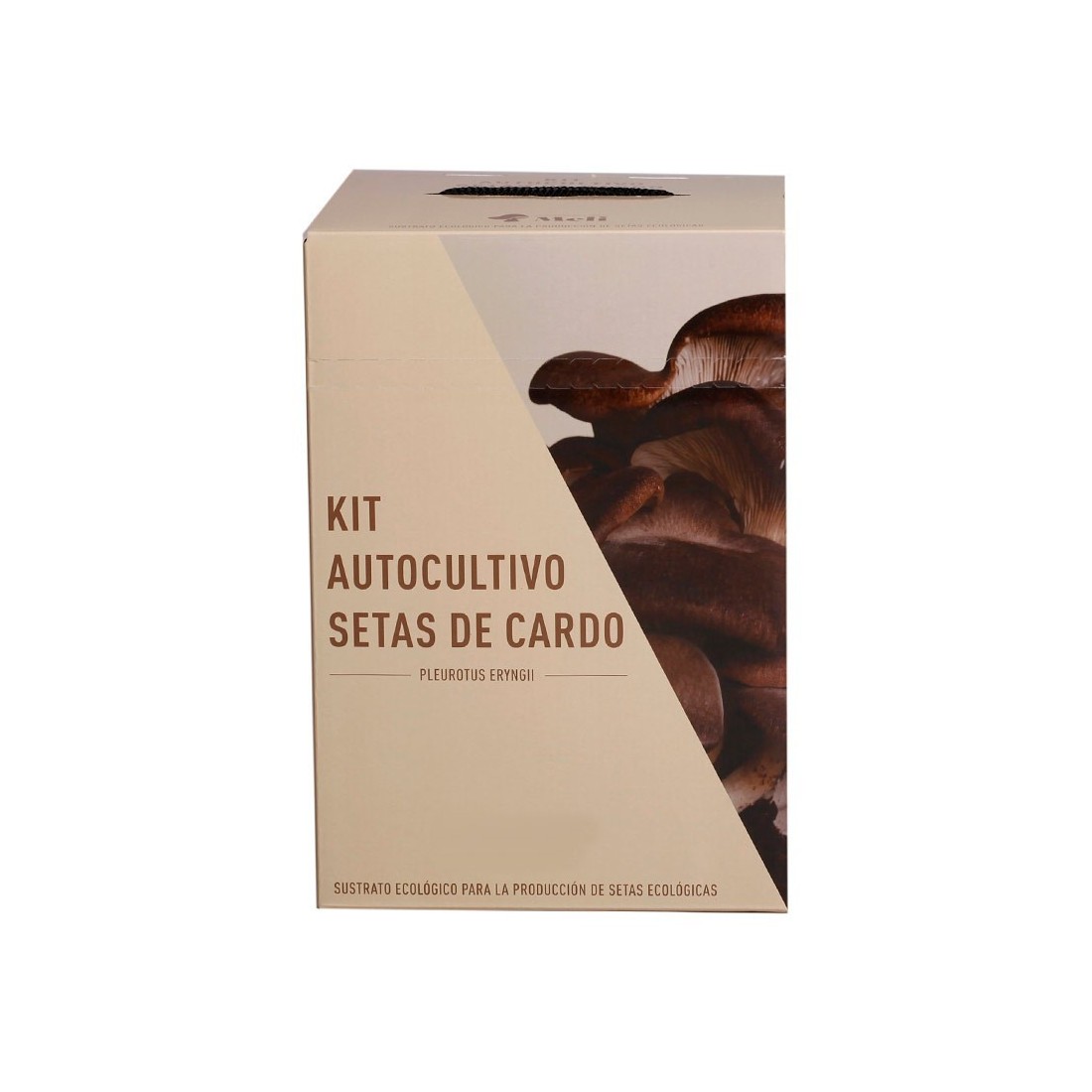 Coltiva Funghi Ostrica Facilmente - Mico Kit