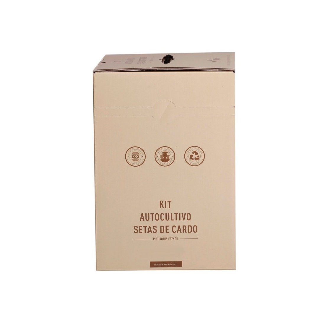 Cultive Cogumelos Cardo em Casa - Mico Kit