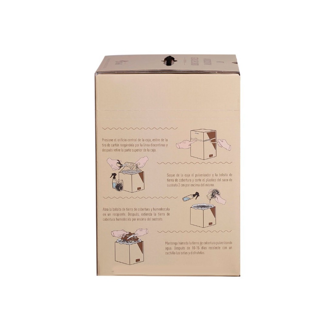 Cultive Cogumelos Cardo em Casa - Mico Kit