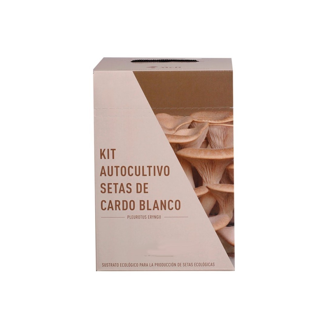 Grow Fresh Milk Cap Mushrooms | Mico Kit Home Cultivation