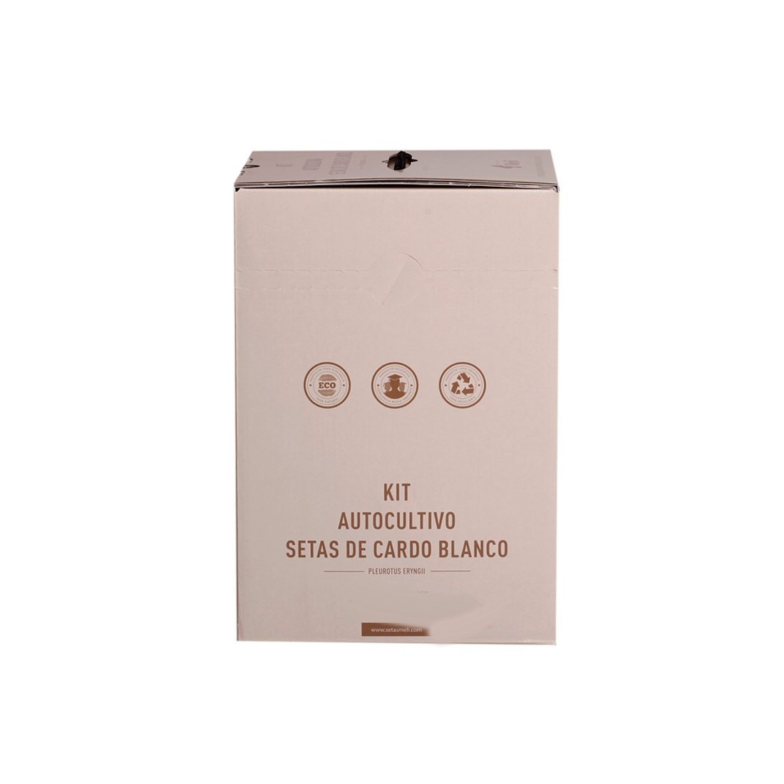 Cultive Castanhas Brancas em Casa - Mico Kit