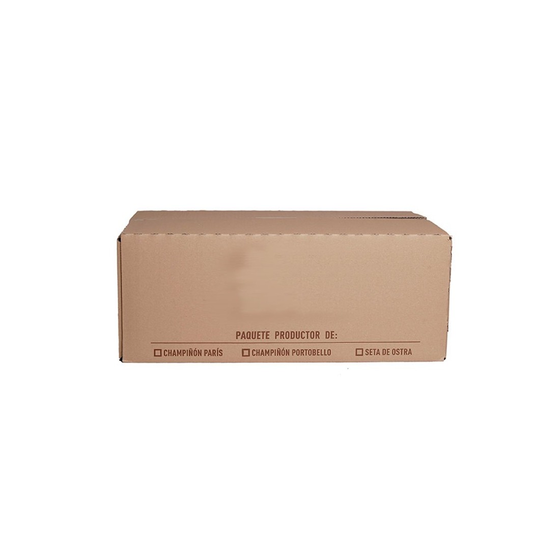 Grow Fresh Oyster Mushrooms - 17kg Alpaca Kit