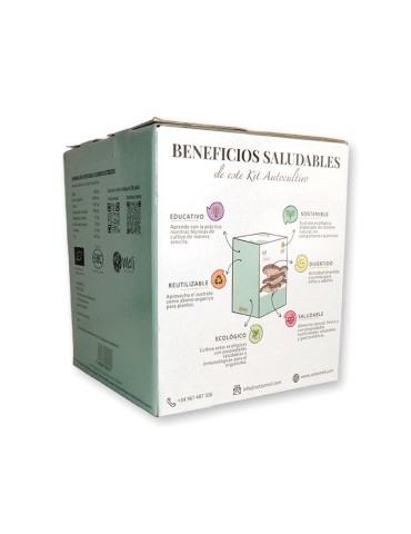 Cultive Cogumelos Ostra P. Ostreatus - Mico Kit 2