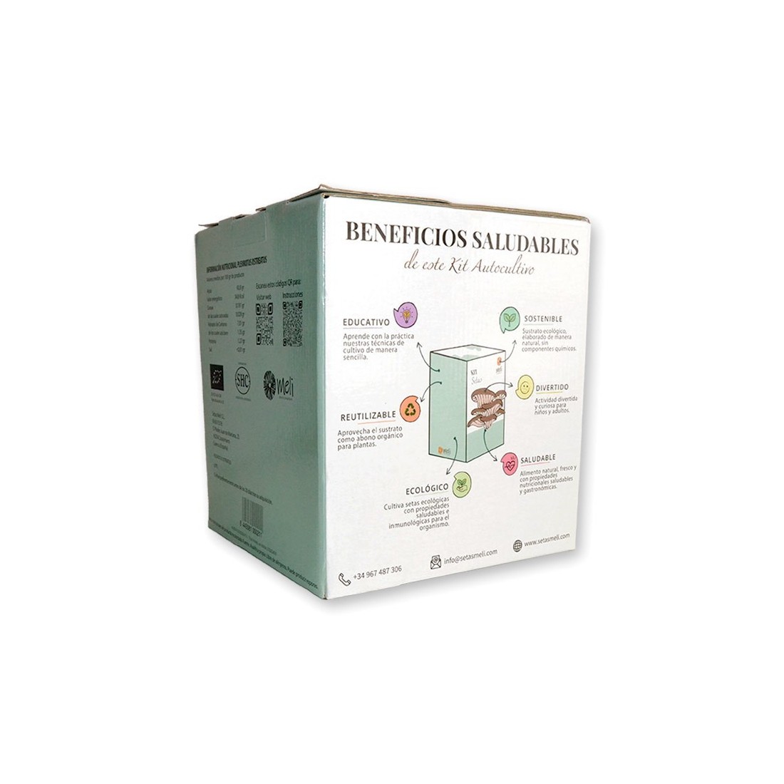 Cultivez des Champignons Pleurotes Facilement - Mico Kit